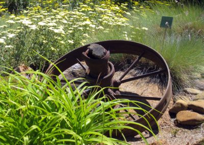The Flower Farm Gardens
